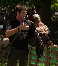 Birds of Prey Displays 373356 Image 3